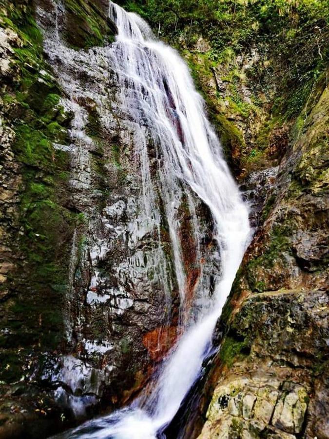 Стаи За Гости Тони Рибарица Экстерьер фото